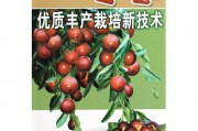 冬枣种植栽培的技术，冬枣种植栽培的技术要点