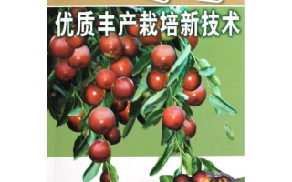 冬枣种植栽培的技术，冬枣种植栽培的技术要点